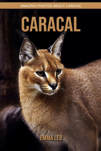 Caracal