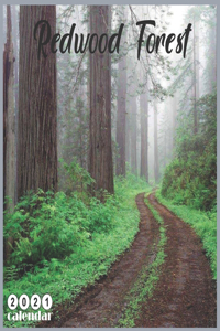 Redwood Forest 2021 Calendar