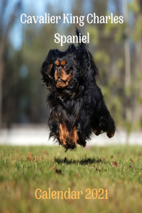 Cavalier King Charles Spaniel Calendar 2021