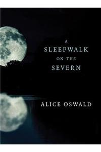 A Sleepwalk on the Severn