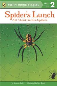 PYR LV 2 : Spiders Lunch