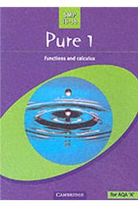 SMP 16-19 Pure 1 (AS): Functions and Calculus (School Mathematics Project 16-19)