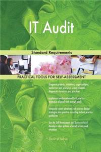 IT Audit Standard Requirements