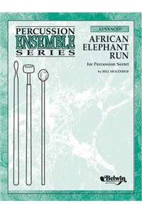 African Elephant Run