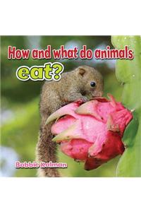 How and What Do Animals Eat?
