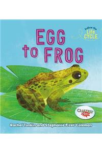 Egg to Frog