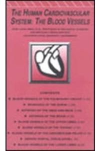 Human Cardiovascular System, The - The Blood Vessels Videotape
