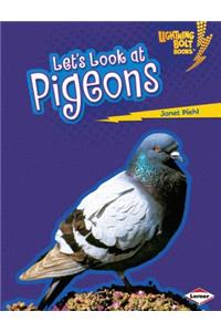 Lets Look at Pigeons