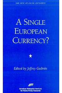 Single European Currency?