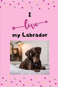 I love my Labrador