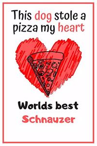 This Dog Stole A Pizza My Heart Worlds Best Schnauzer