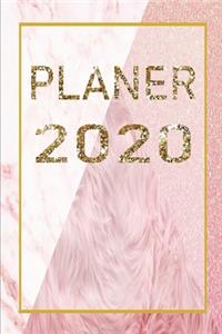 Planer 2020