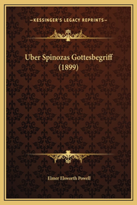 Uber Spinozas Gottesbegriff (1899)