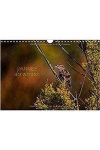 L'Annee Des Oiseaux 2017