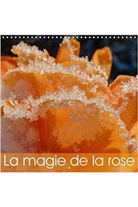La Magie De La Rose 2018