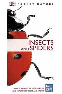 Insects and Spiders