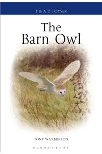 Barn Owl