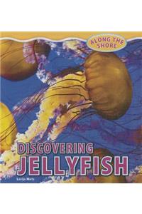 Discovering Jellyfish