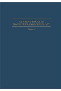 Hormone Binding and Target Cell Activation in the Testis