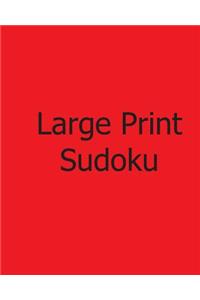 Large Print Sudoku