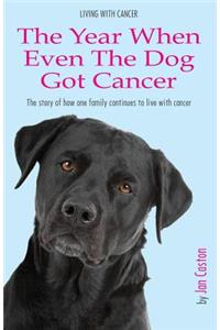 Living With Cancer - The Year When Even The Dog Got Cancer