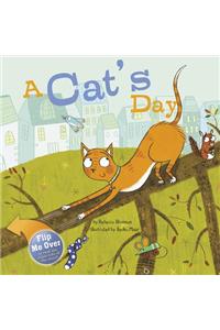 A Cat's Day