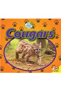 Cougars