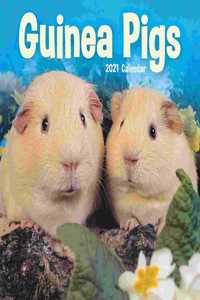 GUINEA PIGS MINI SQUARE WALL CALENDAR 20