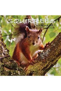 Squirrels Calendar 2017