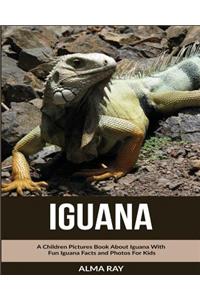 Iguana