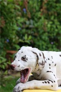 Cute Dalmation Journal