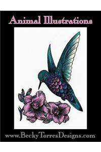 Animal Illustrations