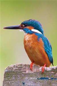 Kingfisher Any Day Planner Notebook