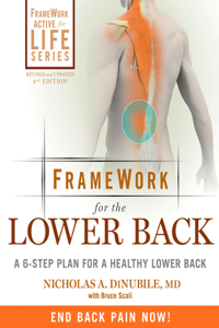 Framework for the Lower Back