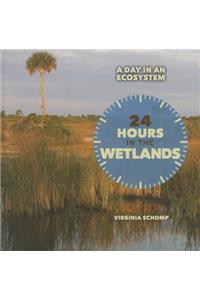 24 Hours in the Wetlands