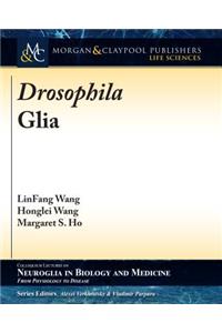 Drosophila Glia