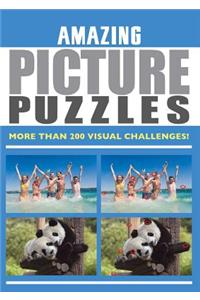 Amazing Picture Puzzles