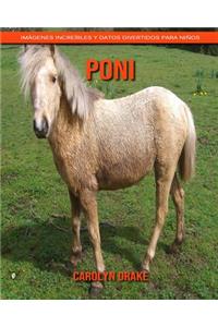 Poni