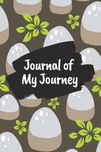 Journal of My Journey