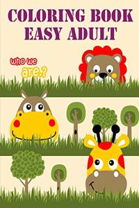 Coloring Book Easy Adult