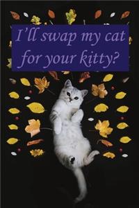 I'll Swap My Cat For Your Kitty?