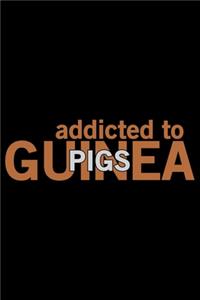 Addicted To Guinea Pigs