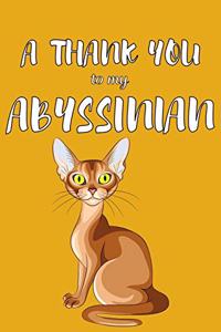 A Thank You To My Abyssian