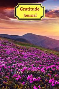 Gratitude Iournal for teens and adults