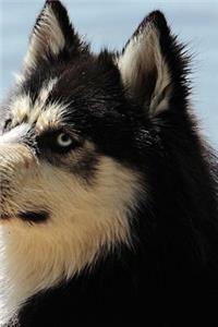 Husky Notebook