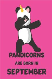 Pandicorns Are Born in September