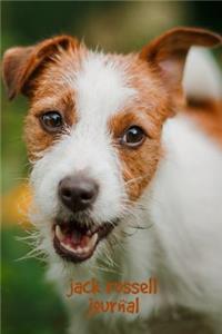 Jack Russell Journal