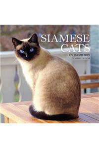 Siamese Cats Calendar 2019