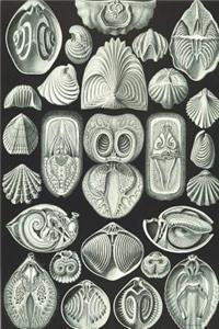 Haeckel Scientific Biological Art Notebook