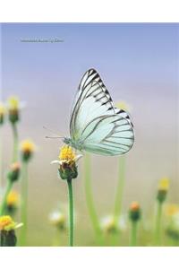 Notebook Butterfly Cover
